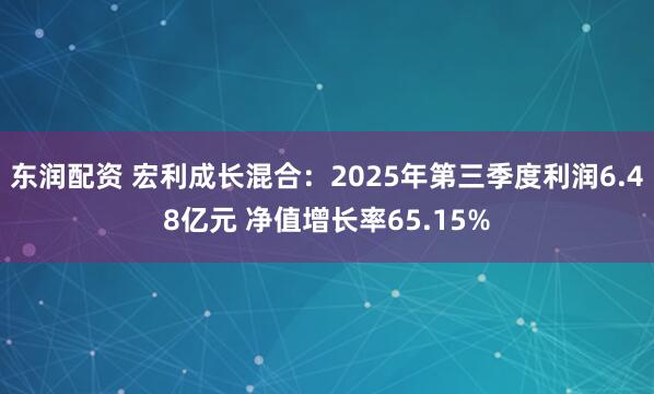 东润配资 宏利成长混合：2025年第三季度利润6.48亿元 净值增长率65.15%