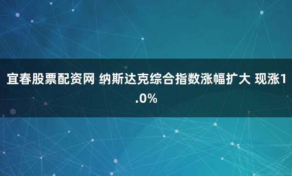 宜春股票配资网 纳斯达克综合指数涨幅扩大 现涨1.0%