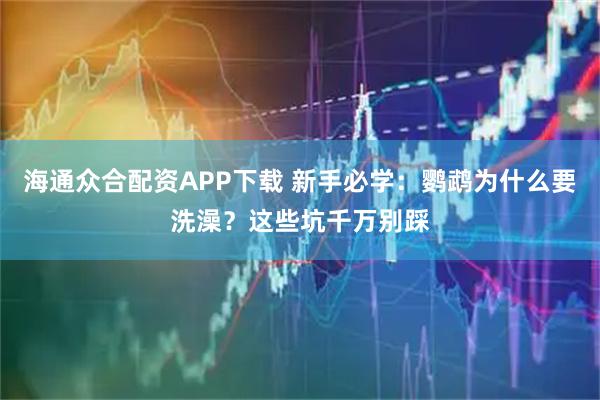 海通众合配资APP下载 新手必学：鹦鹉为什么要洗澡？这些坑千万别踩